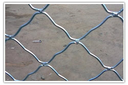 ����ַ�����